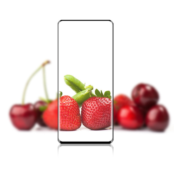 Szkło Ochronne Na Cały Ekran Xiaomi 12 Pro Mocolo 3D 9H Full Glue