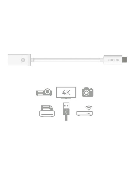 Przejściówka Z USB-C Na USB Żeński ( 21 cm ) Kanex Biały
