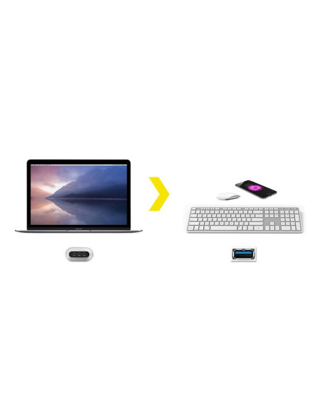 Przejściówka Z USB-C Na USB Żeński ( 21 cm ) Kanex Biały